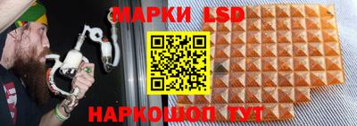 прущие грибы Кунгур